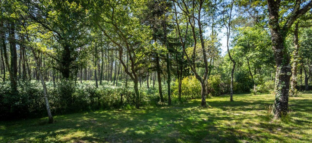 Camping L'Etang D'Ardy *** Saint-Paul-lès-Dax Exterior foto
