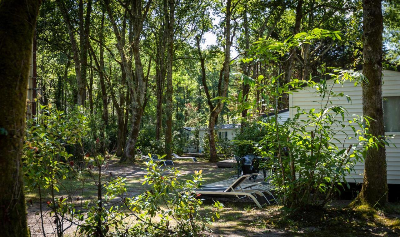 Camping L'Etang D'Ardy *** Saint-Paul-lès-Dax Exterior foto